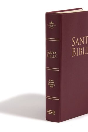 Biblia Rvr1960 Tamaño Manual Letra Grande Borgoña Vinil_0
