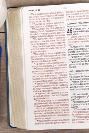 Biblia Rvr1960 Tamaño Manual Letra Grande Rosa Vinil_1