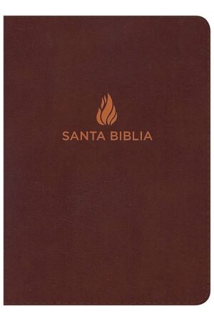 Nvi Biblia Letra Gigante Marrón, Piel Fabricada_0