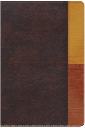 Rvr1960 Biblia De Estudio Arcoiris Cocoa Terracota Símil Ind_0