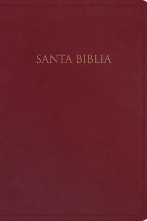 Rvr 1960 Biblia Letra Gigante Marrón, Piel Fabricada Con Índ_1