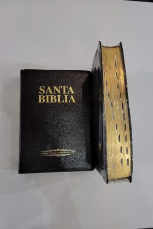 Biblia 1909 Imitacion Negro Letra Grande con Indice_1